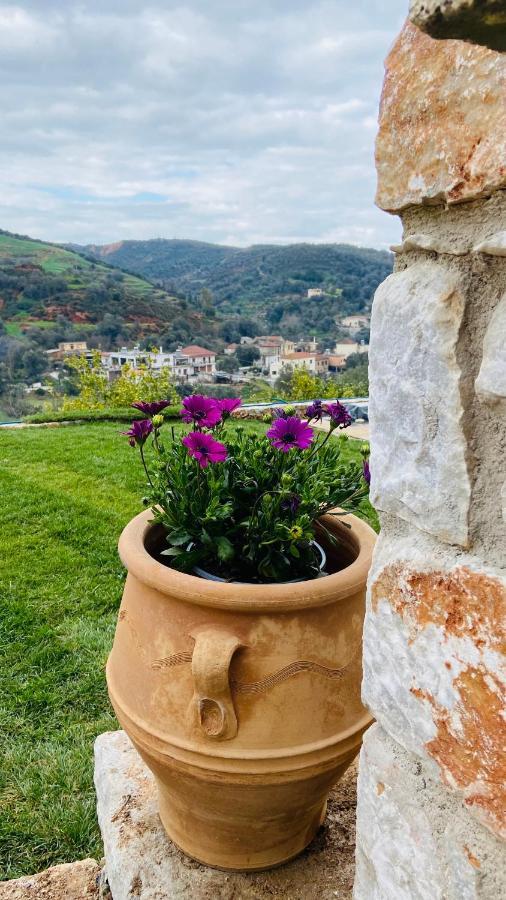 Ampelos Cretan Villa - Private Pool & Heated Ozone Jacuzzi Yerolákkos المظهر الخارجي الصورة